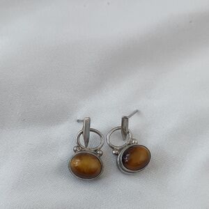 Elegant Silver and Brown Earrings